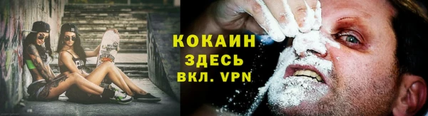 прущие грибы Абинск