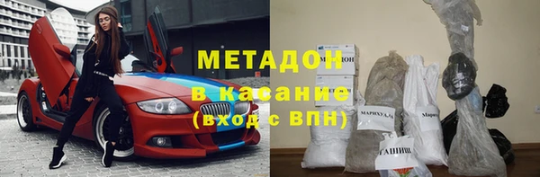 прущие грибы Абинск