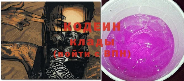 прущие грибы Абинск