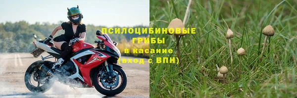 мет Абаза